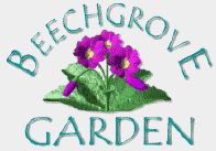 Why not visit the
Beechgrove Garden?